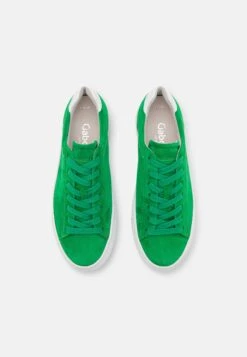 Gabor Comfort Sneakers Laag - Verde/Weiss 11 Gabor Comfort Sneakers Laag - Verde/Weiss -Gabor comfort Store 892b05980b1d4a5bab07613780ef2f30